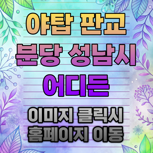 성남 출장안마.png