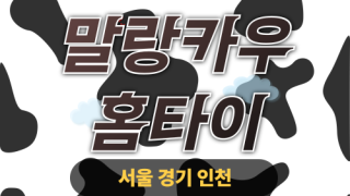 ✨말랑카우홈타이✨강남 출장 마사지 강남홈타이 강남출장스웨디시 24시 안마 -마사지맛집