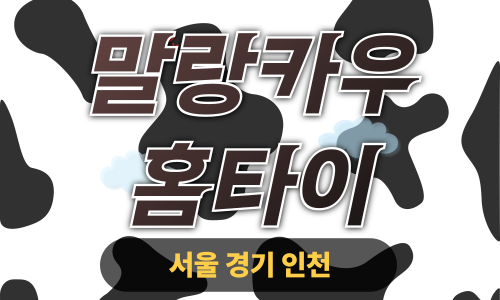 ✨말랑카우홈타이✨강남 출장 마사지 강남홈타이 강남출장스웨디시 24시 안마 -마사지맛집