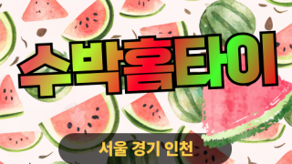 ✨수박홈타이✨동대문 출장 마사지 동대문홈타이 동대문출장스웨디시 24시 안마 -마사지맛집