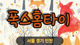 ✨폭스홈타이✨은평 출장 마사지 은평홈타이 은평출장스웨디시 24시 안마 -마사지맛집