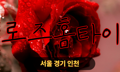 ✨로즈홈타이✨서초 출장 마사지 서초홈타이 서초출장스웨디시 24시 안마 -마사지맛집