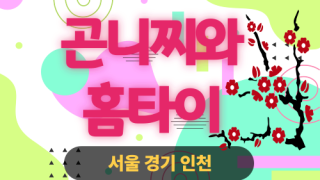 ✨곤니찌와홈타이✨종로 출장 마사지 종로홈타이 종로구출장스웨디시 24시 안마 -마사지맛집